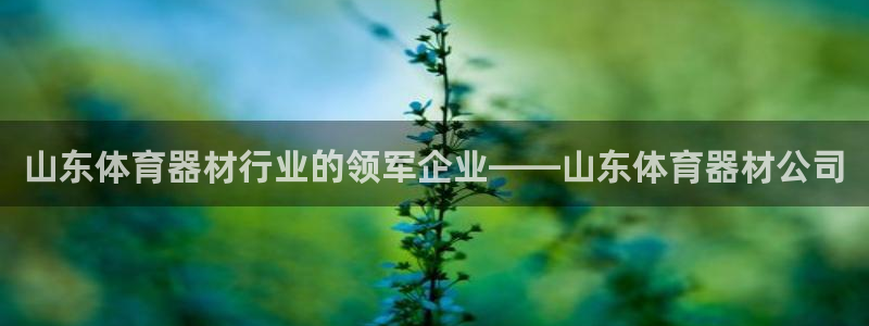 星欧娱乐和嫲薇他的区别是什么：山东体育器材行业的领军