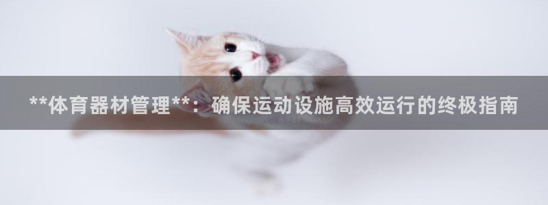 星娱乐online：**体育器材管理**：确保运动设